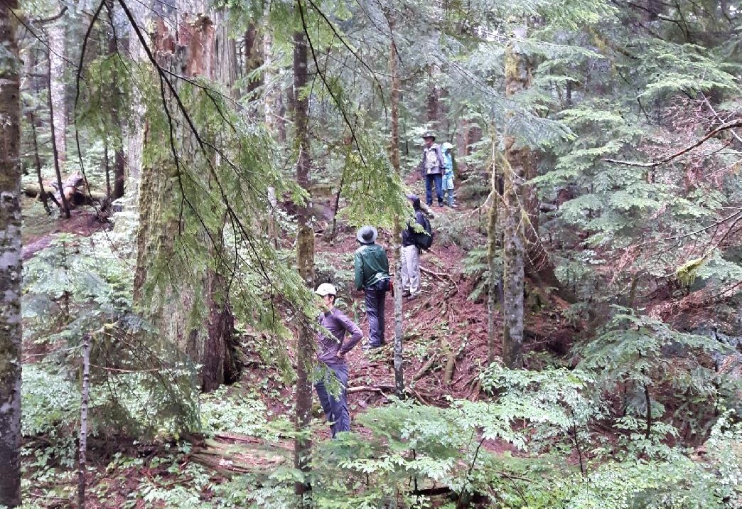 Old Growth Conservancy Tour 20190821