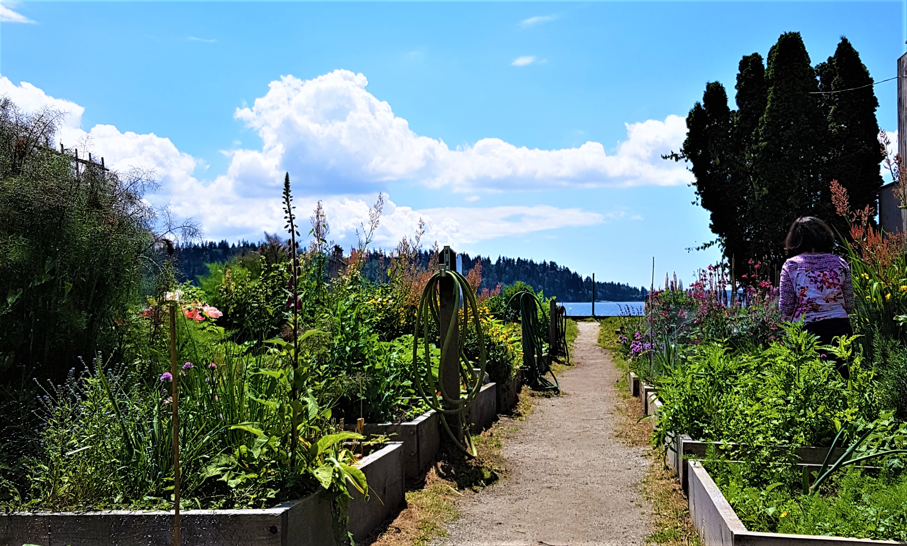 West Vancouver Community Garden